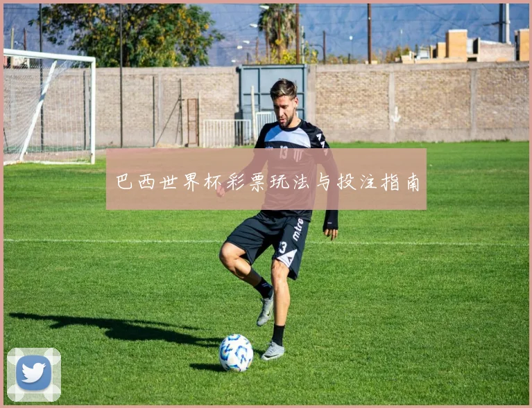 巴西世界杯彩票玩法与投注指南