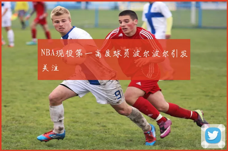 NBA现役第一高度球员波尔波尔引发关注