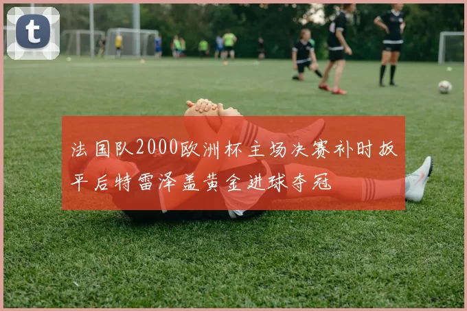 法国队2000欧洲杯主场决赛补时扳平后特雷泽盖黄金进球夺冠